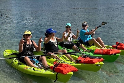 4 Hour Single Kayak Rental In Crystal River, Florida