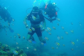 Scuba for beginners