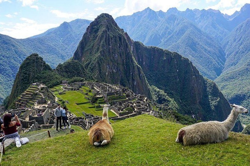 Machu Picchu Tour