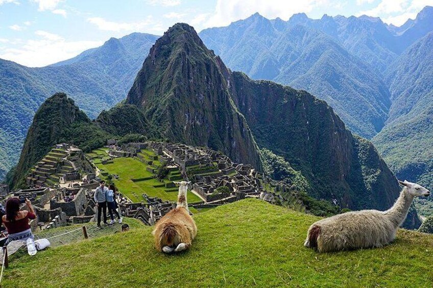 Machu Picchu Tour