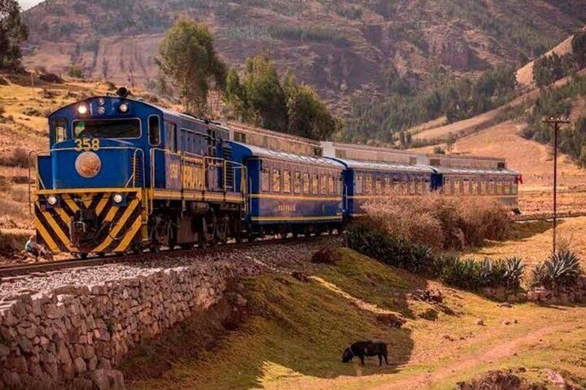 Tren Expeditions