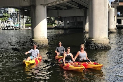 Enkel kajakkutleie for å utforske vannet i Tampa Bay