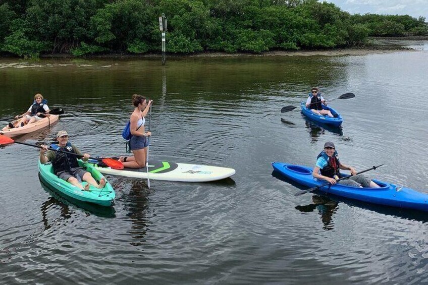Single Kayak Rental to Explore the Waters of Tampa Bay