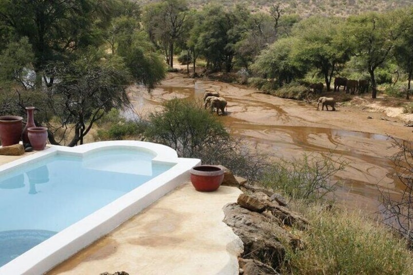 Ultimate Luxury Safari