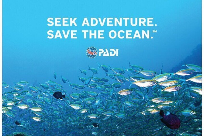 Aruba PADI Discover Scuba Diving Program Non Certified Divers