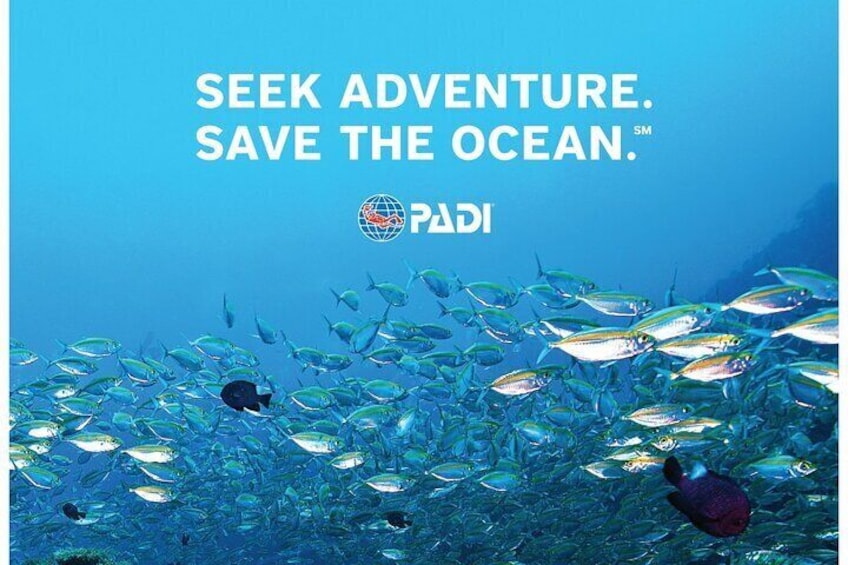Aruba PADI Discover Scuba Diving Program Non Certified Divers