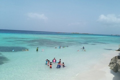 Aruba Snorkelling Tour: Mangel Halto and Baby Beach