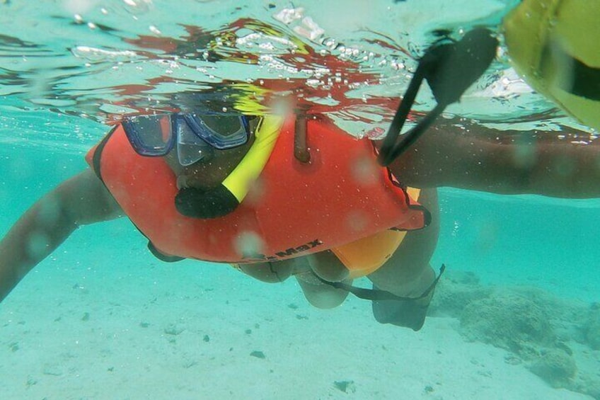 Discover Snorkeling Mangel Halto Aruba