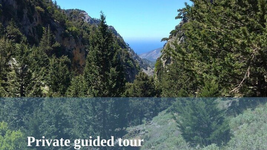 Private guided tour