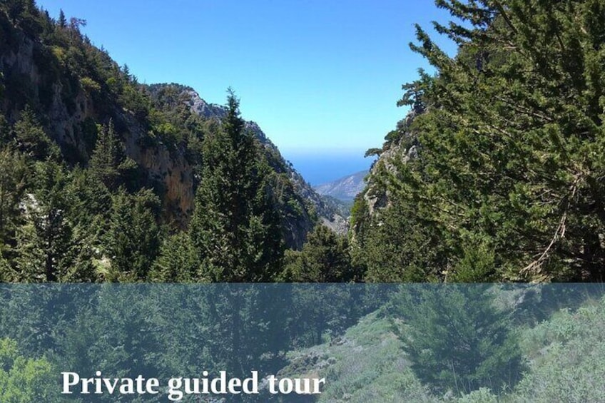 Private guided tour 