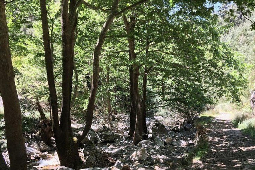 Agia Irini gorge 