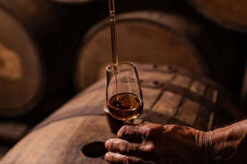 Coffee tour & rum tasting