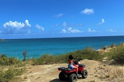 Shore Excursion: Guided ATV Tour of Dutch & French St. Maarten