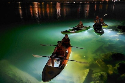 Visite nocturne éclairée par LED de Sharkey sur des kayaks à fond de verre ...