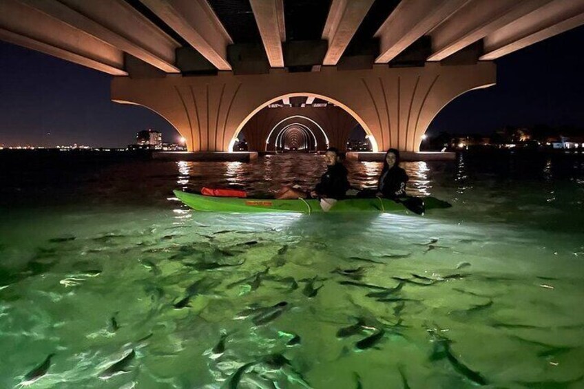A couple feeding our fish under the bridge.