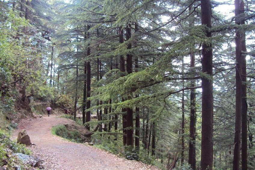 Dharamkot