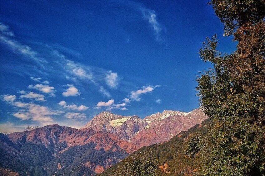 Nature and Cultural Walking Tour at Mcleod Ganj