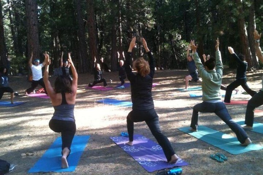 Yoga and Meditation on the Volcano Day