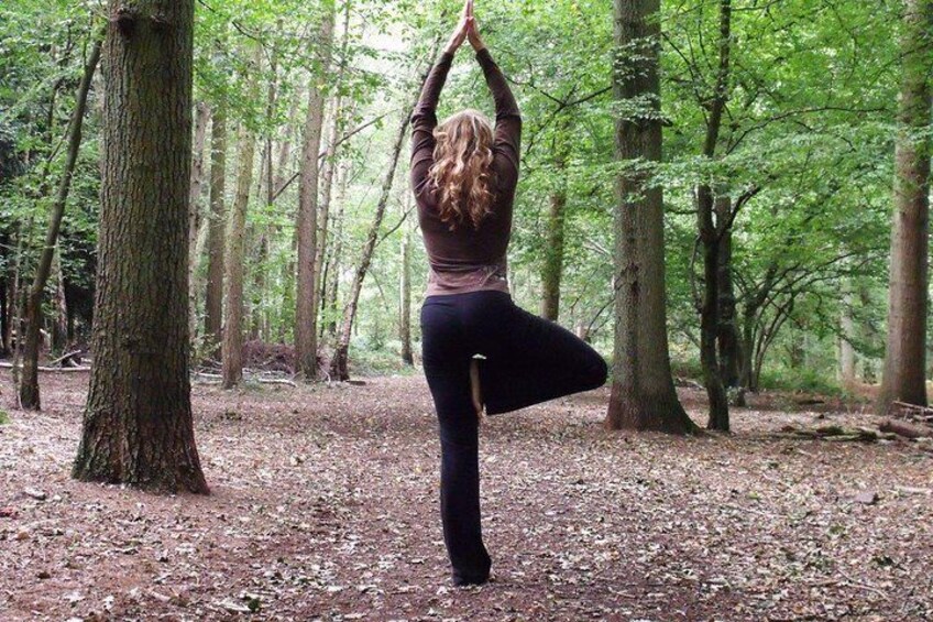 Yoga and Meditation on the Volcano Day