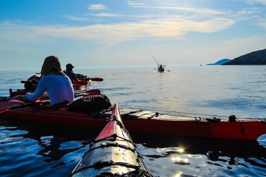 Kayak Adventure