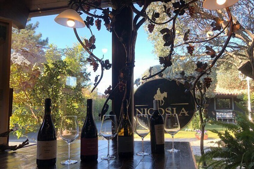 Sunset Etna & Wine – Private Experience