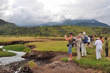 Arusha National Park Game drive and Walking Safari Day Tour