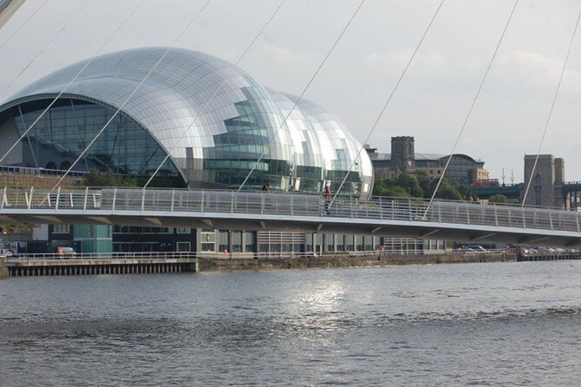 Show item 5 of 7. The Sage.