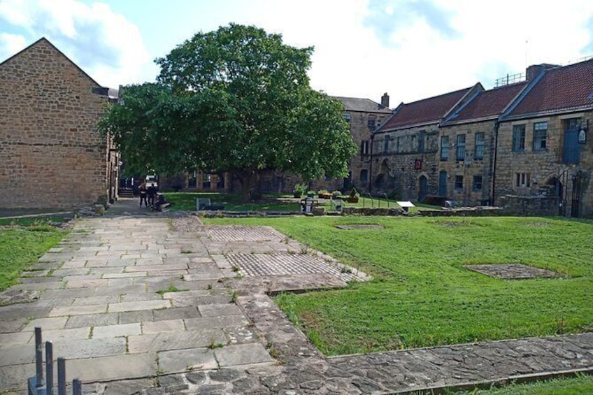 Red Beard Tours: Newcastle City Tour