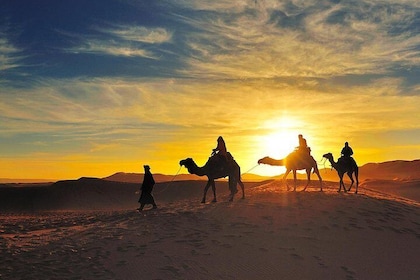 2 Days Luxury Desert Tour from Marrakech To Zagora