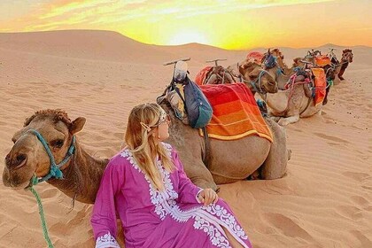 Morocco Imperial Cities & Desert Tour from Casablanca 9 Days 8 Nights