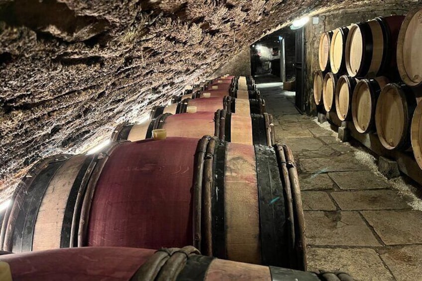 Burgundy Grand Crus Route Day Tour with 10 Wines Tastings in Family Domains
