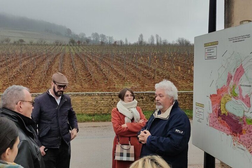 Burgundy Grand Crus Route Day Tour with 10 Wines Tastings in Family Domains