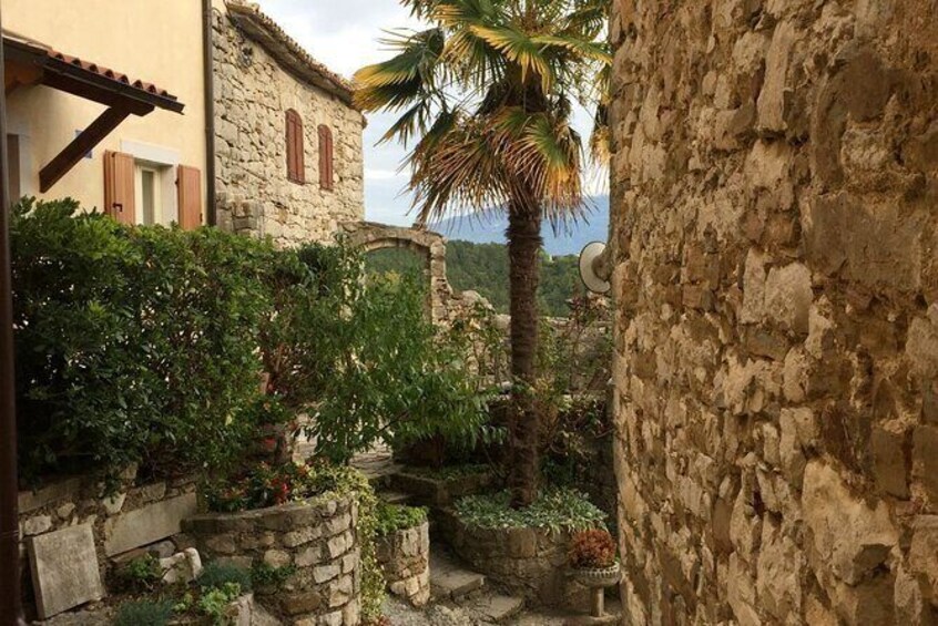 Visit Hum, "the smallest town in the world" private tour