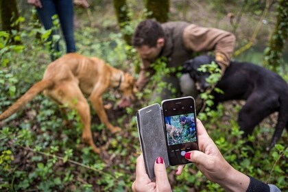 Truffle Hunting Experience and Tasting