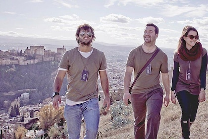 El Tesoro Oculto de Granada: Tour a pie del Albayzin y Sacromonte