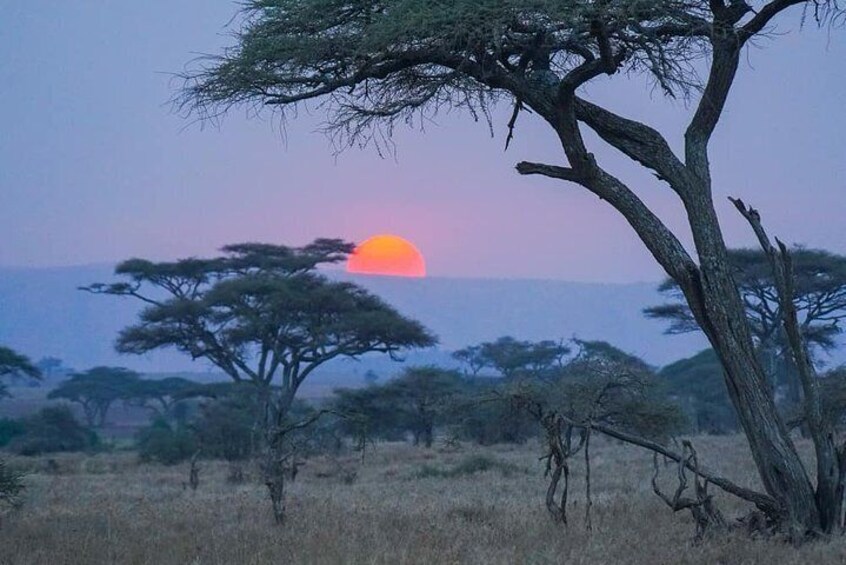 Ngorongoro Crater 