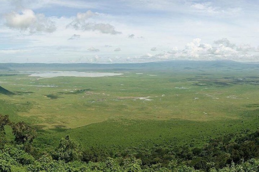 Ngorongoro Crater 