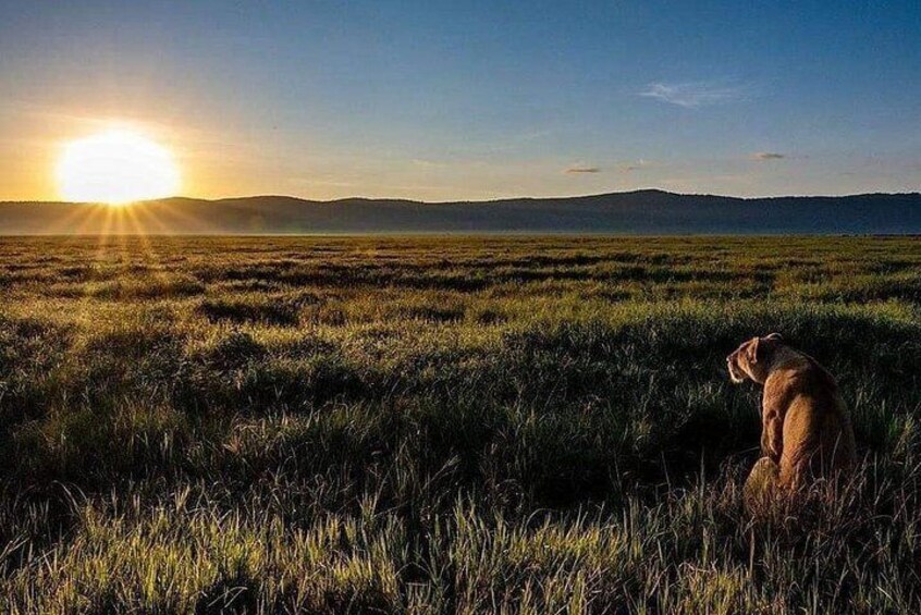 Ngorongoro Crater