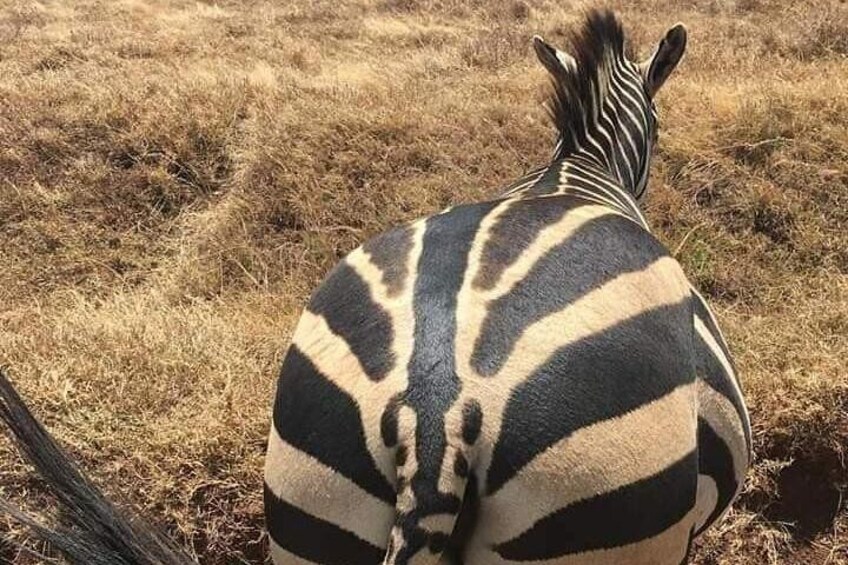 Ngorongoro Crater 