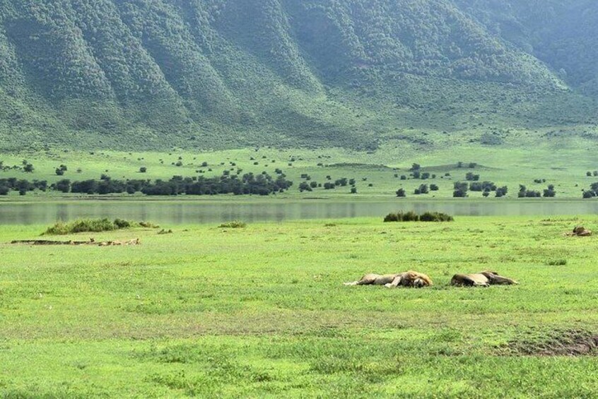 Ngorongoro Crater 