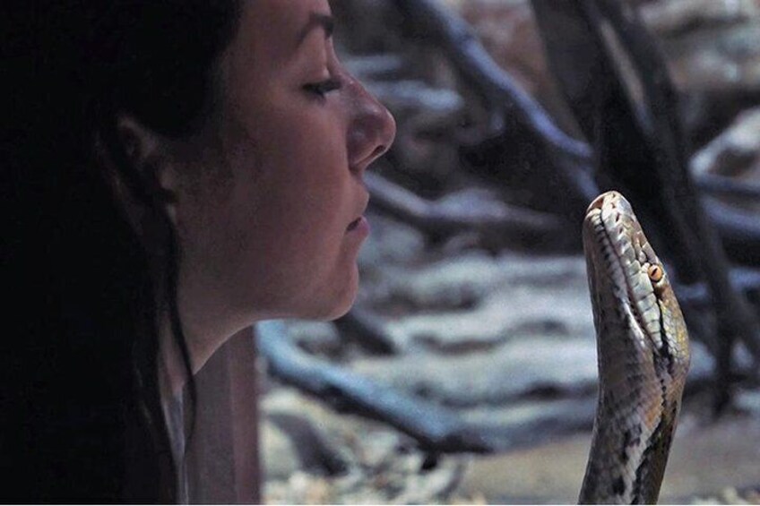 Crocoparc Tour in Agadir