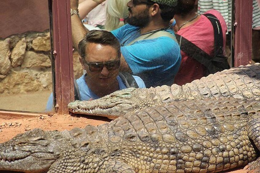 Crocoparc Tour in Agadir