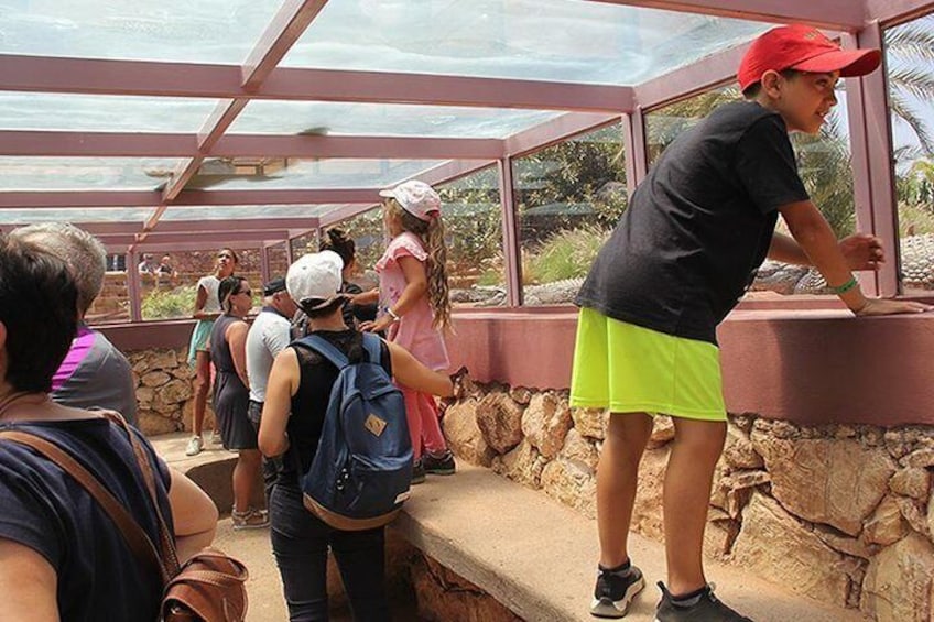 Crocoparc Tour in Agadir