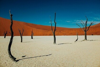 3 Day Sossusvlei (Accommodated) Self-Drive Tour