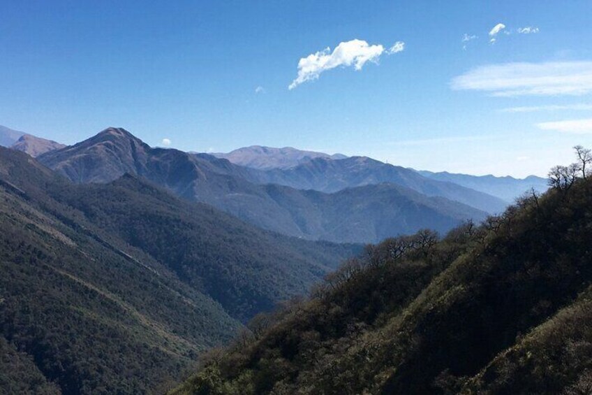 Hills of San Lorenzo