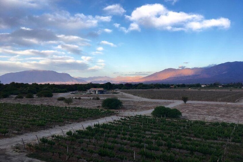 Dusk at Grace, the newest luxury hotel in Cafayate. 