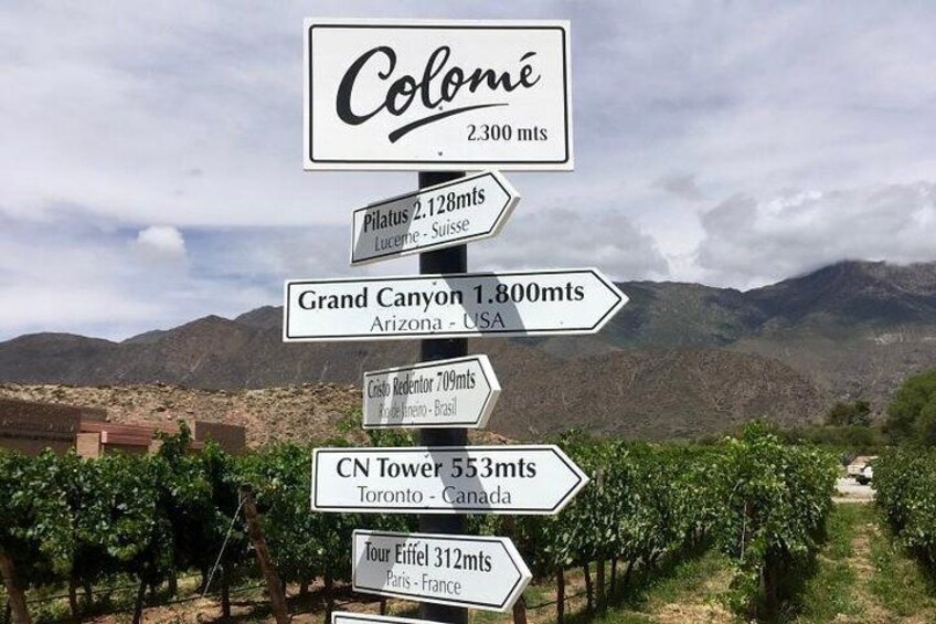 Luxury Colome wine tour