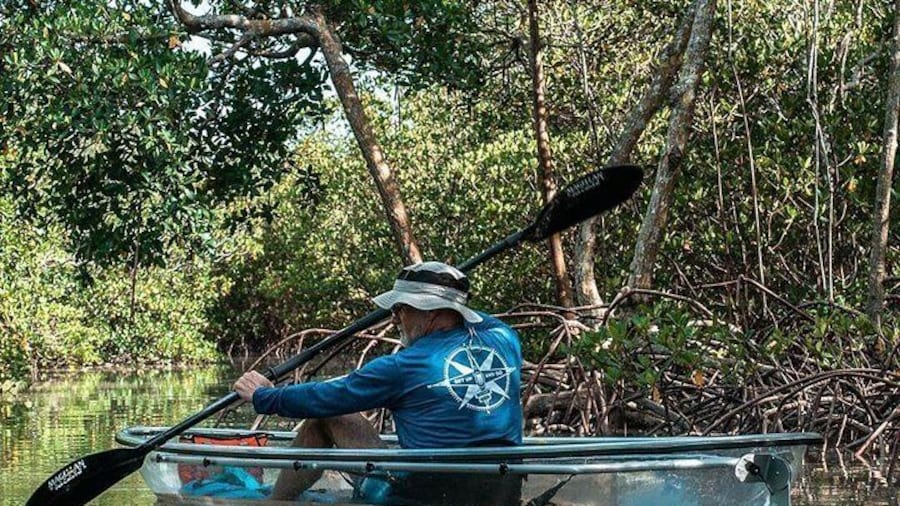 Clear Kayak Tours in Fort Pierce