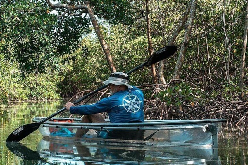 Clear Kayak Tours in Fort Pierce