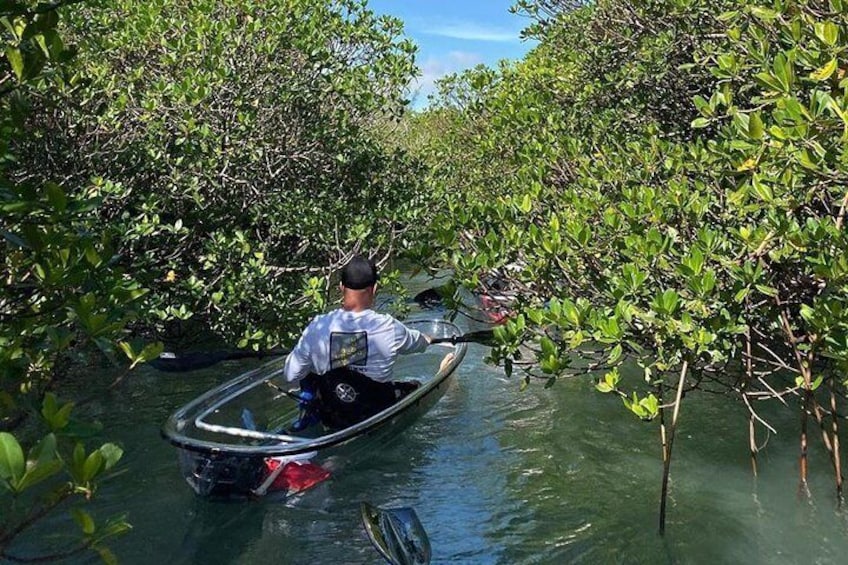 Clear Kayak Tours in Fort Pierce